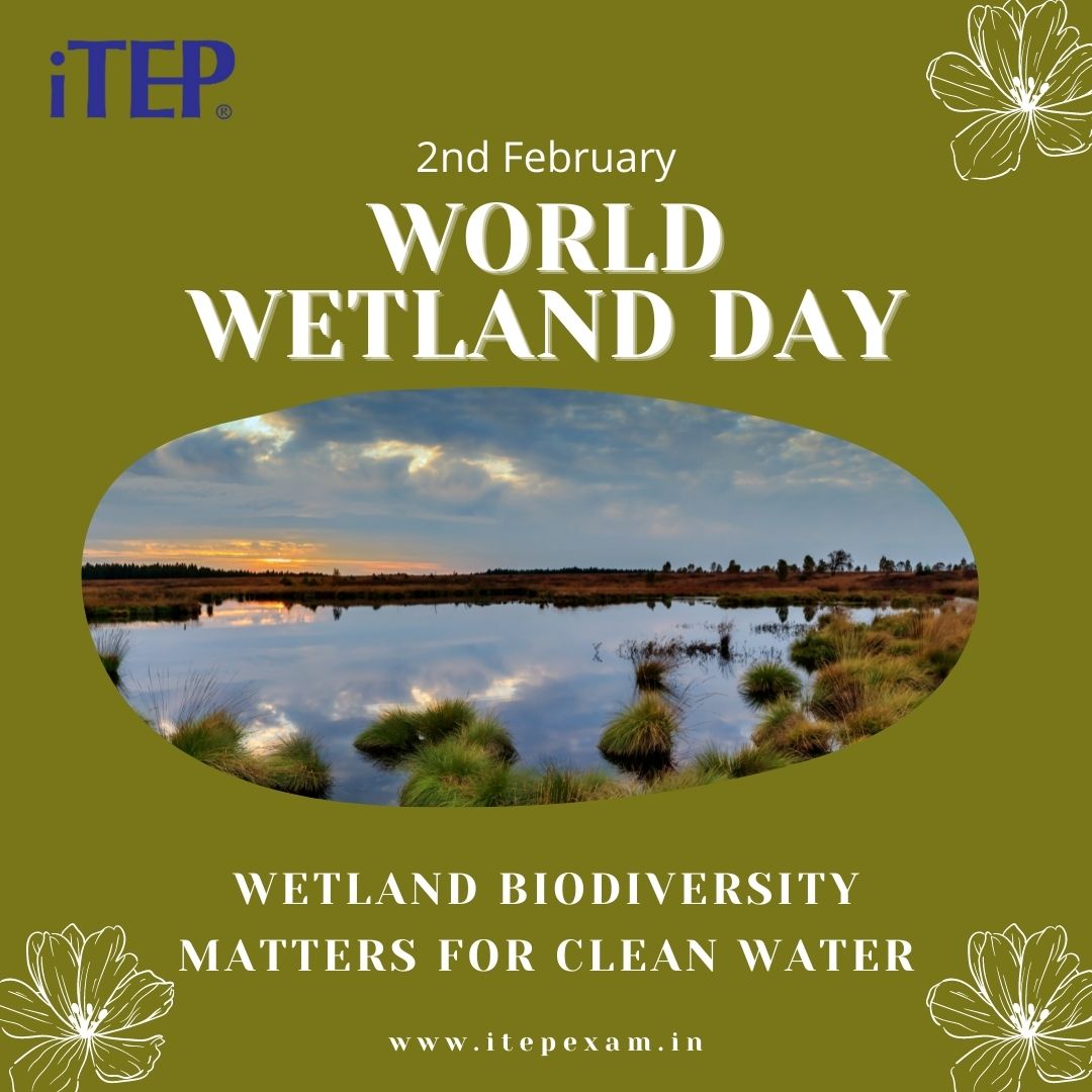 Wetlands are the kidney of the Earth

It is crucial to protect them

#worldwetlandsday #biodiversity #kidneyoftheearth #preservewetlands #climateprotection
24m
