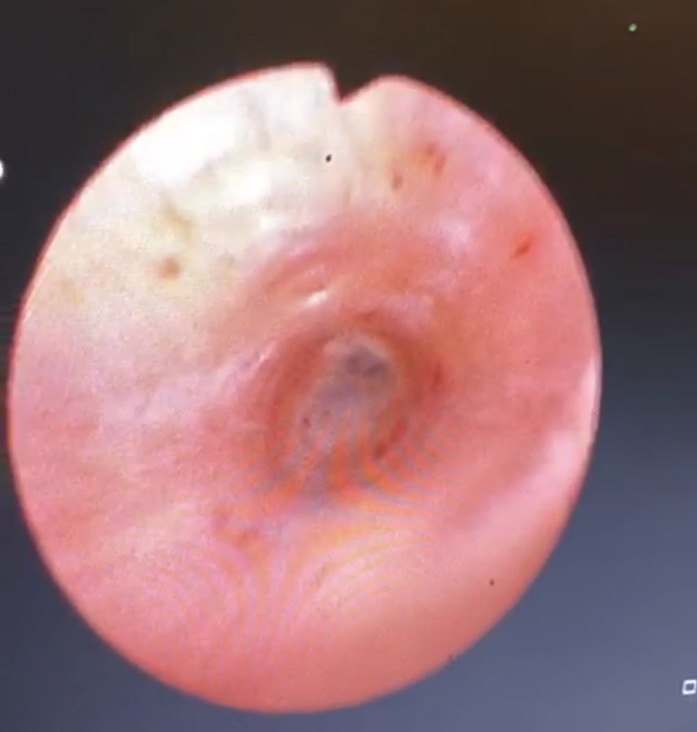 Abdullah Alkhayal د.عبدالله الخيال tweet media