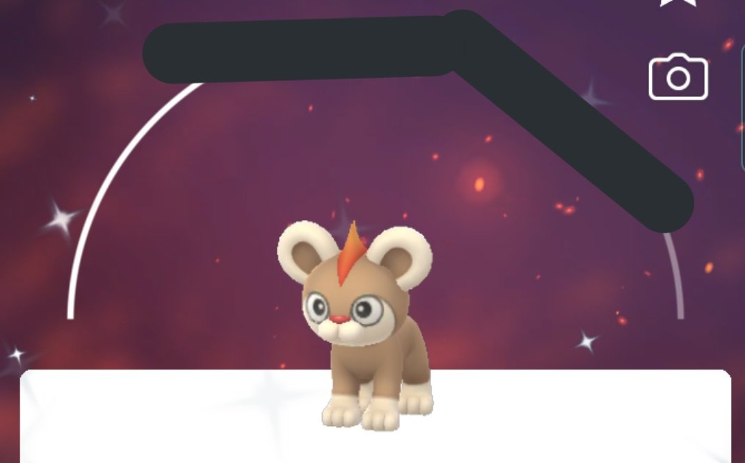 ✨Pokeshinyhuntr✨ tweet media