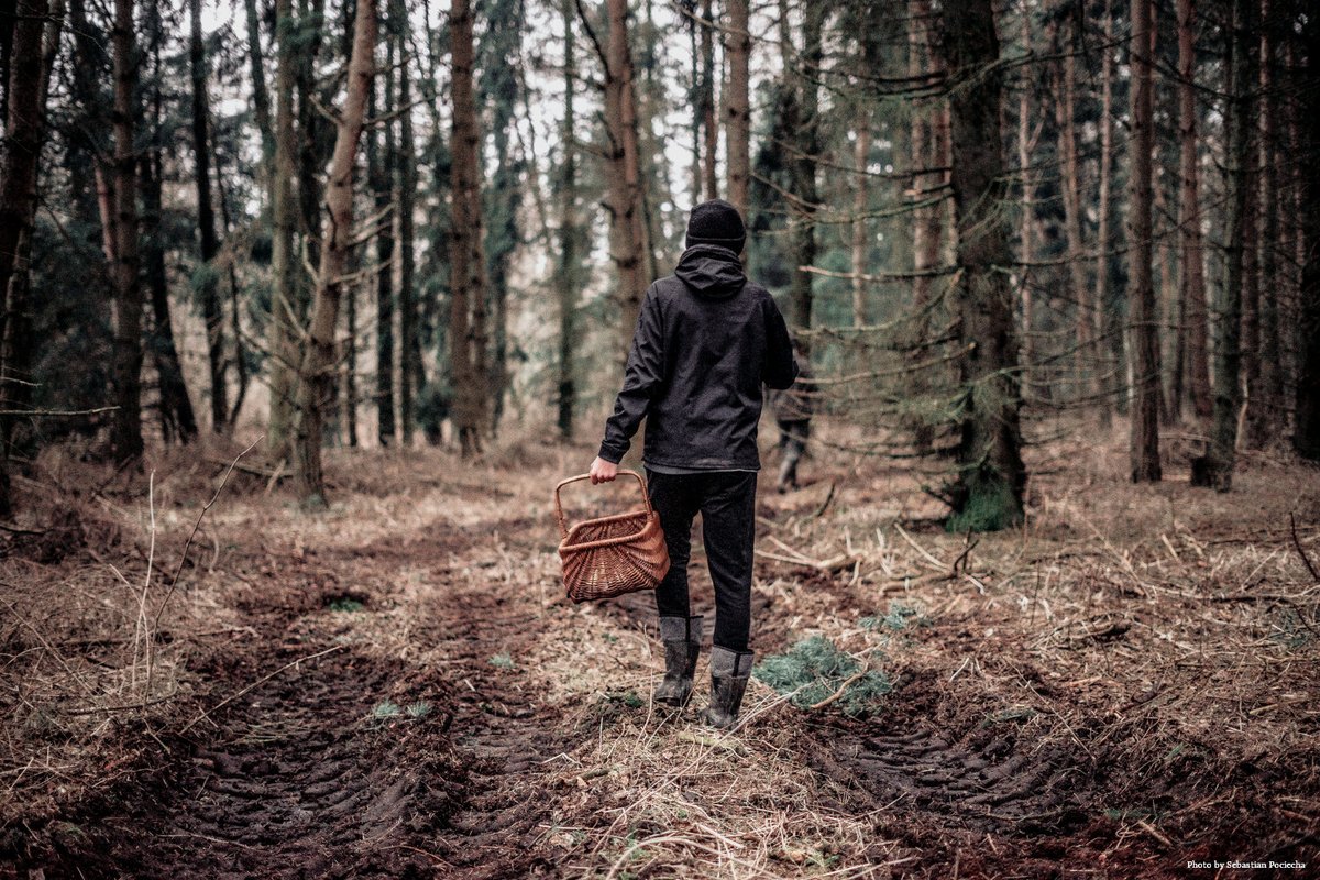 Пребывая в лесу. Фотосессия в лесу. Парень в лесу. Человек в лесу. Мужская фотосессия в лесу.