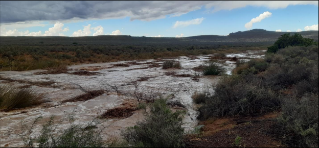 Riparian areas provide ecological goods
&amp; services
💧⬇️ runoff &amp; soil erosion
💧⬆️groundwater
💧⬇️sediment load &amp; siltation

In the arid Karoo, we use #SLM to secure #riparian ecosystems on productive landscapes

Guideline➡️bit.ly/3HnY7qv
 
#WorldWetlandsDay 
<a href="/TheEWT/">Endangered Wildlife Trust</a>