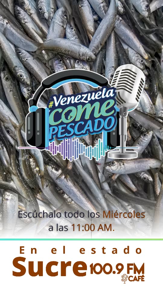 No te pierdas hoy a las 11:00 am nuestro programa radial "Venezuela Come Pescado" 🐠 
#VenezuelaComePescado 
#ChávezPorSiempre
