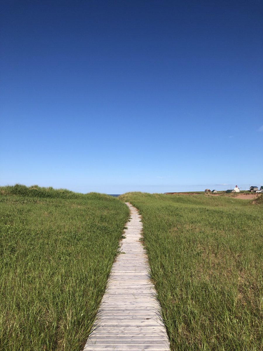 Rigs_Ladder_PEI's tweet photo. Happy Groundhog Day everyone! Are you predicting shadow or no shadow? Whatever happens, we can't wait to take a stroll on the boardwalk soon! #groundhogday #happywednesday https://t.co/QcBAycY5DE