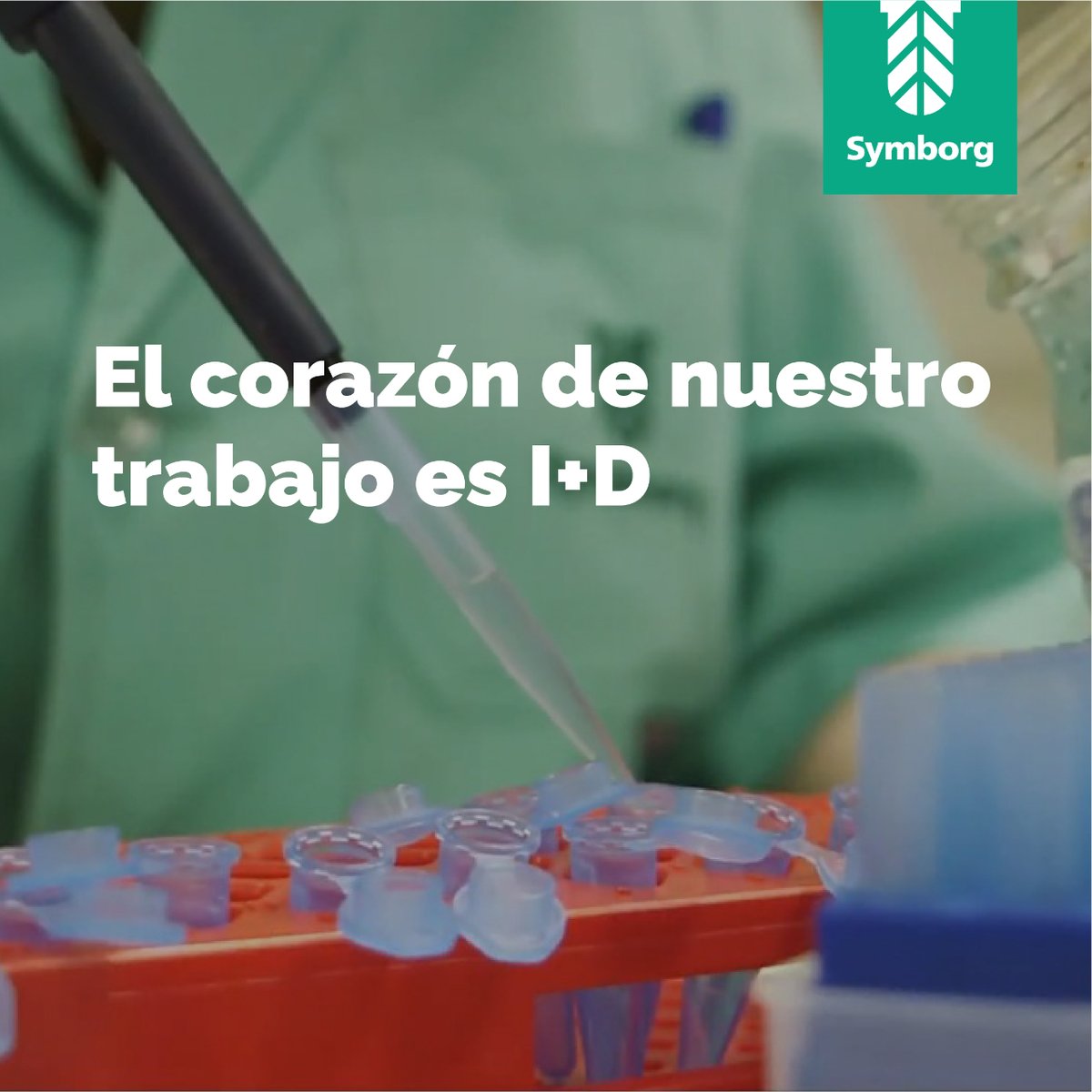 SymborgLATAM's tweet photo. La investigación y desarrollo son parte de nuestro trabajo diario, ya que buscamos soluciones innovadoras para satisfacer las necesidades del agricultor y sus campos.
#symborg #biotecnologia #I+D #investigacion #desarrollo #wearebiobelivers https://t.co/ZjtihEDdbA