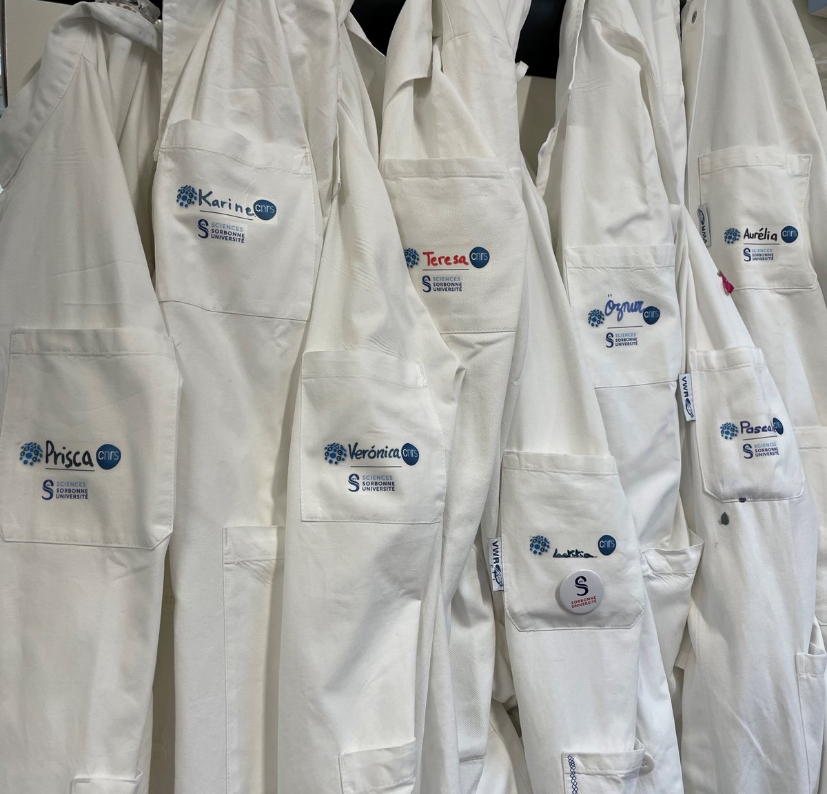 #FemmesEnScience Journée internationale des femmes et filles de #Sciences 👩‍🔬 Comme les ingénieures, les chercheuses, les post-doctorantes et les doctorantes de @umr8226, faites de la #science @FemmesCNRS <a href="/ScienceSorbonne/">Faculté des Sciences de Sorbonne Université</a>