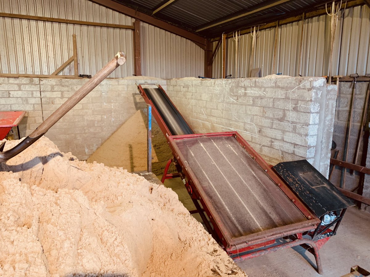 Richard Johnstone tweet media