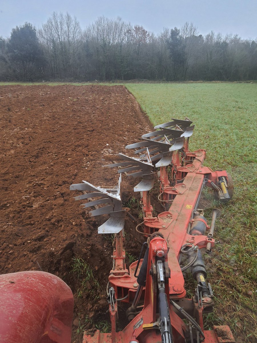 Belon98537846's tweet photo. Labour pour les futurs pois de printemps, tellement d'épaisseur de terre par endroit dans cette parcelle que je ne sais pas si je vais bien les recouvrir #pois #stsavinien https://t.co/qZq6JRse4p