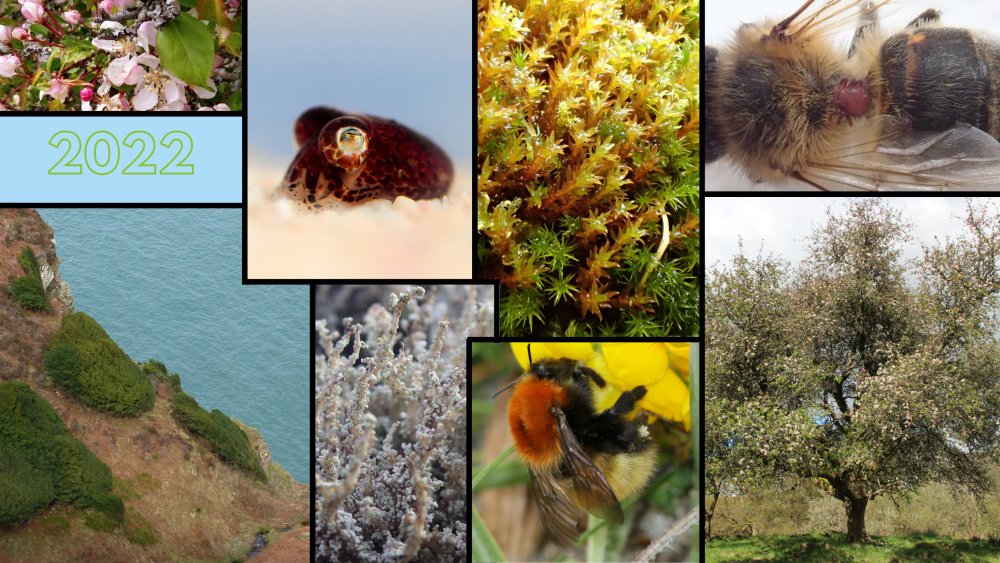 Darwin Tree of Life (@darwintreelife) on Twitter photo With a new season of #DarwinTreeOfLife fieldwork just around the corner, our scientists reflect on some species collected last year which they're excited to see full #genome sequence data from in 2022! 🧬
<a href="/GenomeWytham/">Wytham Genome Project</a> <a href="/TheBotanics/">Royal Botanic Garden Edinburgh</a> <a href="/NHM_Science/">Science at the Natural History Museum</a> <a href="/thembauk/">MBA - Marine Biological Association</a>
ow.ly/80Uv50HKk1v With a new season of #DarwinTreeOfLife fieldwork just around the corner, our scientists reflect on some species collected last year which they're excited to see full #genome sequence data from in 2022! 🧬
<a href="/GenomeWytham/">Wytham Genome Project</a> <a href="/TheBotanics/">Royal Botanic Garden Edinburgh</a> <a href="/NHM_Science/">Science at the Natural History Museum</a> <a href="/thembauk/">MBA - Marine Biological Association</a>
ow.ly/80Uv50HKk1v