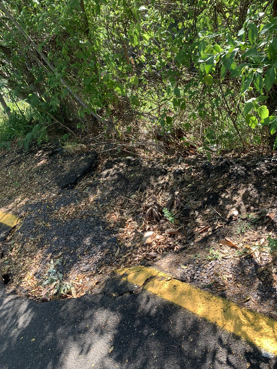 ConstanzaBaez1's tweet photo. Hace más de un año está así el @parqueguasupy … no vale pio hacer algo @mopcparaguay ??? Ni el cartel de desvío pio van a sacar??? https://t.co/CsJt8Zbuqa