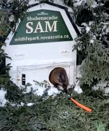 CTV News Atlantic tweet media