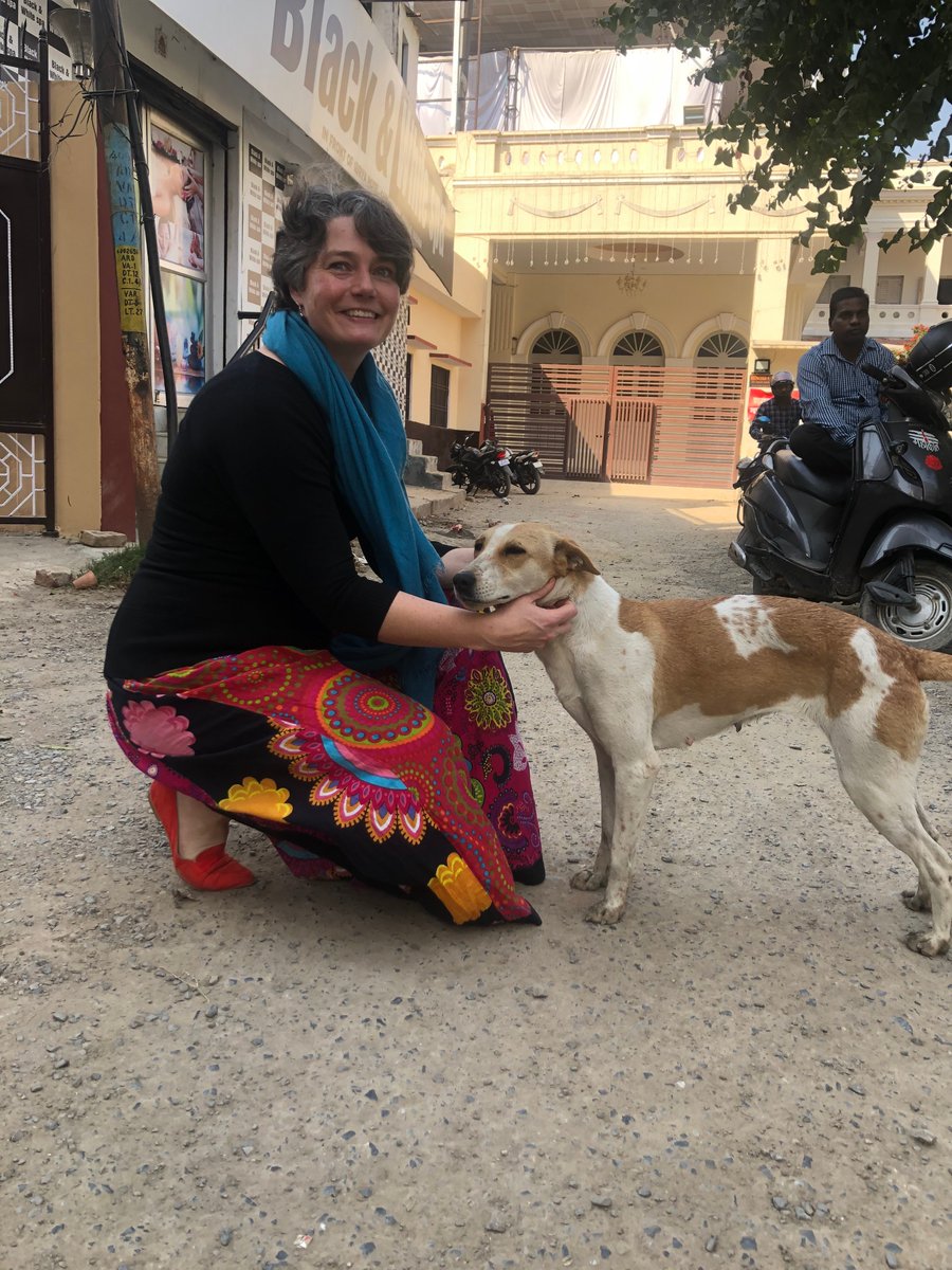 herminthology's tweet photo. First up in our #WomenBehindTheWork initiative for 2022, in collaboration with @PLOSNTDs, is Dr. Christy Petersen @kalicat15, an immunoparasitologist at @uiowa. 

#WomenInParasitology 
#WomenInSTEM 
#Parasitology https://t.co/VJW6IsDh4i