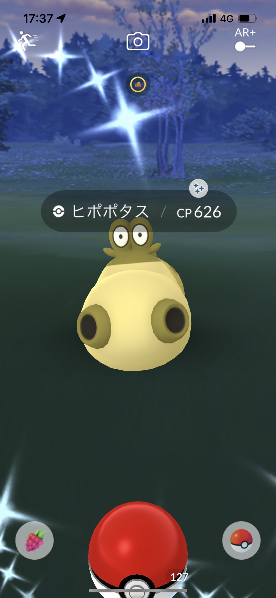 Mckny1116 わーーーい 久しぶりに色違い ヒポポタスは持ってなかったから嬉しい ポケモンgo T Co Mk2nebhjgj Twitter