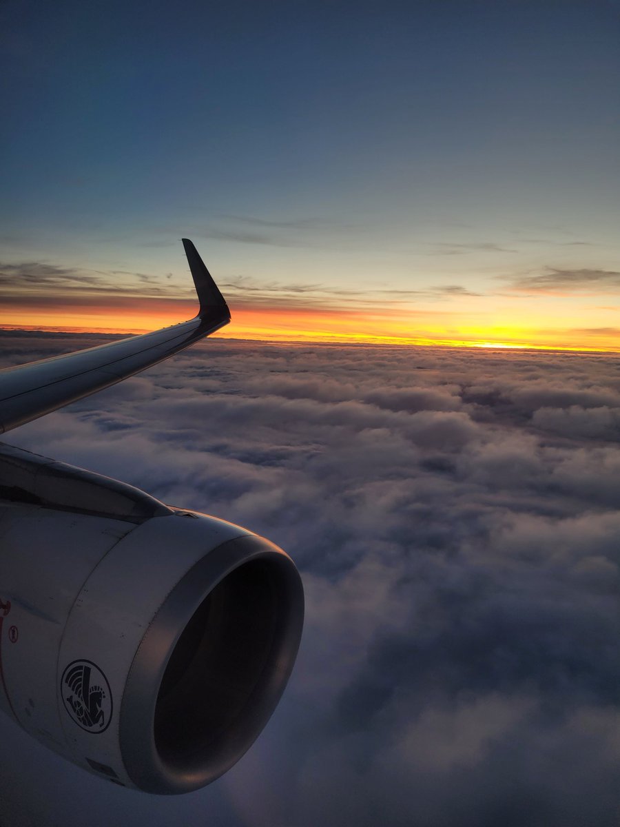 ChampagneFlyer tweet media