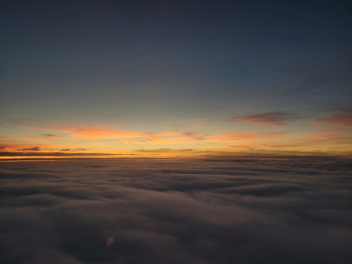 ChampagneFlyer tweet media