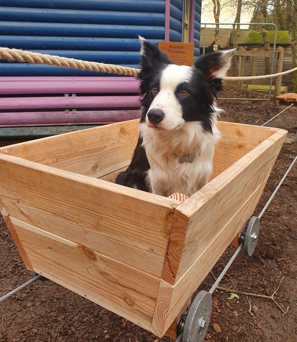 Miley is not just a pretty face, he's also good at testing out our newest activities...making sure it's pawfect! 
Here's Miley in our coal mine inspired low ropes experience, coming soon! 
#dogs #doglife #dogsofinstagram #instadogs #irishdogs #sheepdogs #ireland #kilkenny