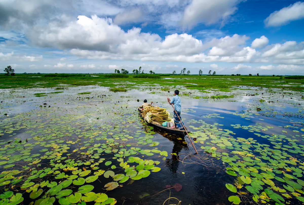 Wetlands = essential for all life on earth 🌏
Wetlands = vital habitats for 40% of species 🐸
Wetlands = disappearing 3 x faster than forests 🌲

Retweet 🔁 and like ✅ to raise awareness of #wetlands on #WorldWetlandsDay 

#WWD2022  #ActForWetlands <a href="/RamsarConv/">Convention on Wetlands</a>