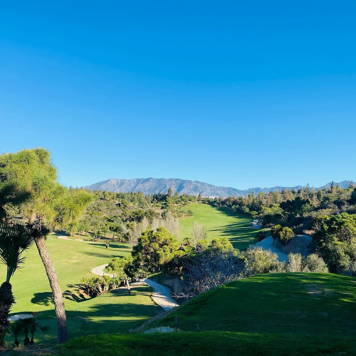 ChaparralGC's tweet photo. Chaparral Golf is a meeting point for people who enjoy the funny side of life! React using ❤️ if you love play golf here! #chaparralgolf #simplyunique #mijasgolf #golfspain #andaluciagolf #costadelsol #costadelgolf https://t.co/cLJYyFOOlz