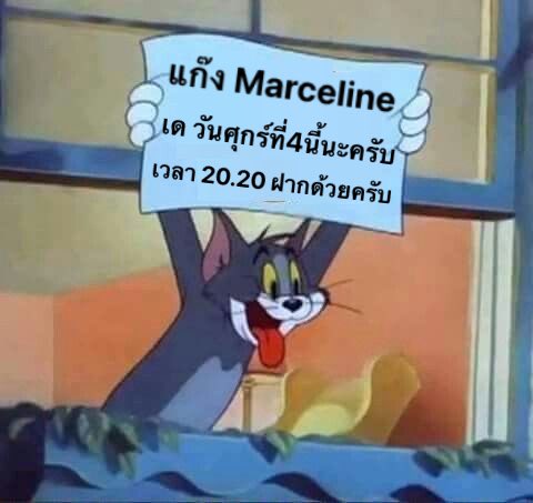 𝐓𝐡𝐞 𝐌𝐚𝐫𝐜𝐞𝐥𝐢𝐧𝐞 ฟอลไปเพราะคนในแก๊งเล็ง tweet media