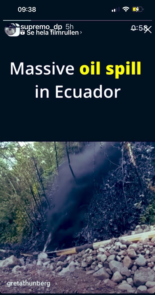 MaTeresaPena1's tweet image. #DaniePadilla thank you for sharing this.. 🙌🏻🌲🌴Protect our Mother Nature! 
#SaveAmazonForest
#SaveThePlanet 
@imdanielpadilla 
@GretaThunberg 
@LeoDiCaprio