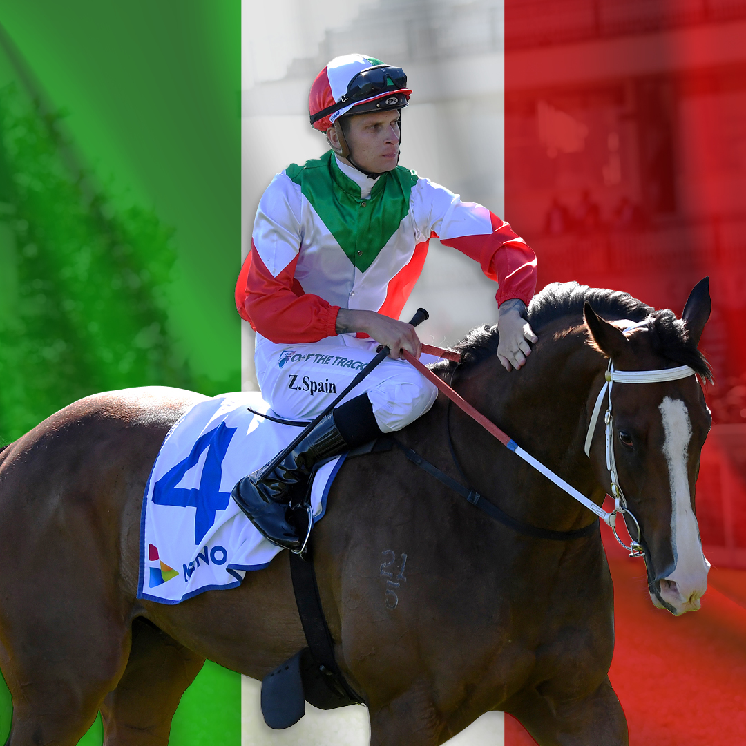 Festival of Racing tweet media