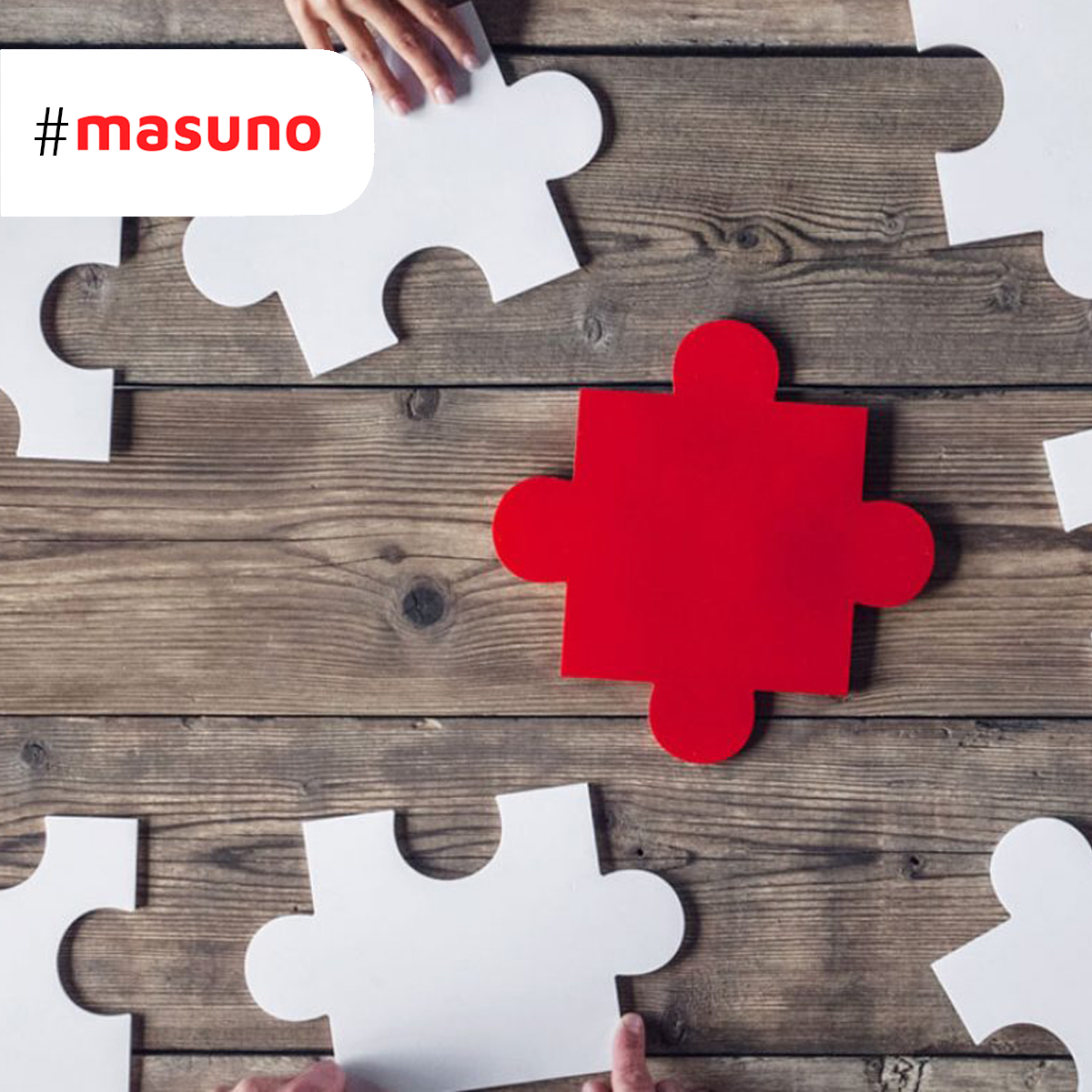 Masuno Soluciones tweet media