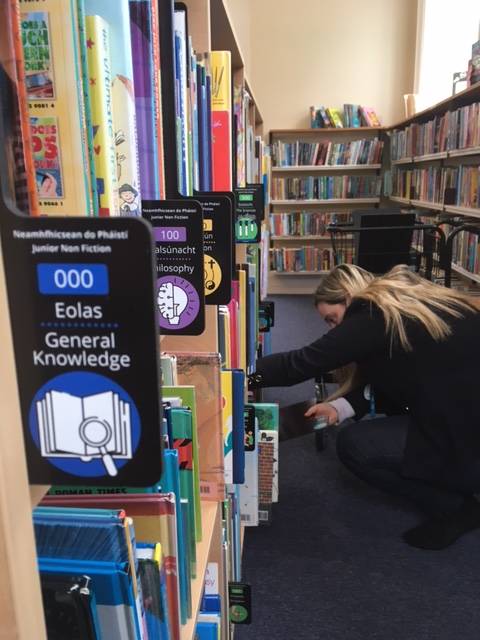 DLR_Libraries's tweet image. Check out our lovely new signage here at Cabinteely library.

#CabinteelyLibrary #dlrlibraries #DormantAccountsFund