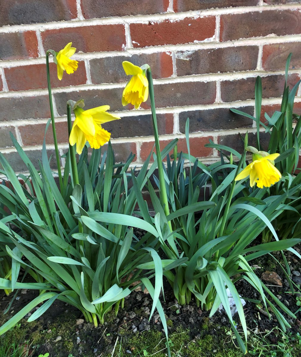 OpenCloister's tweet photo. Good morning from Worth Abbey Retreat Centre, where it is very spring like! 😎😎 https://t.co/leJ2c2U8jV