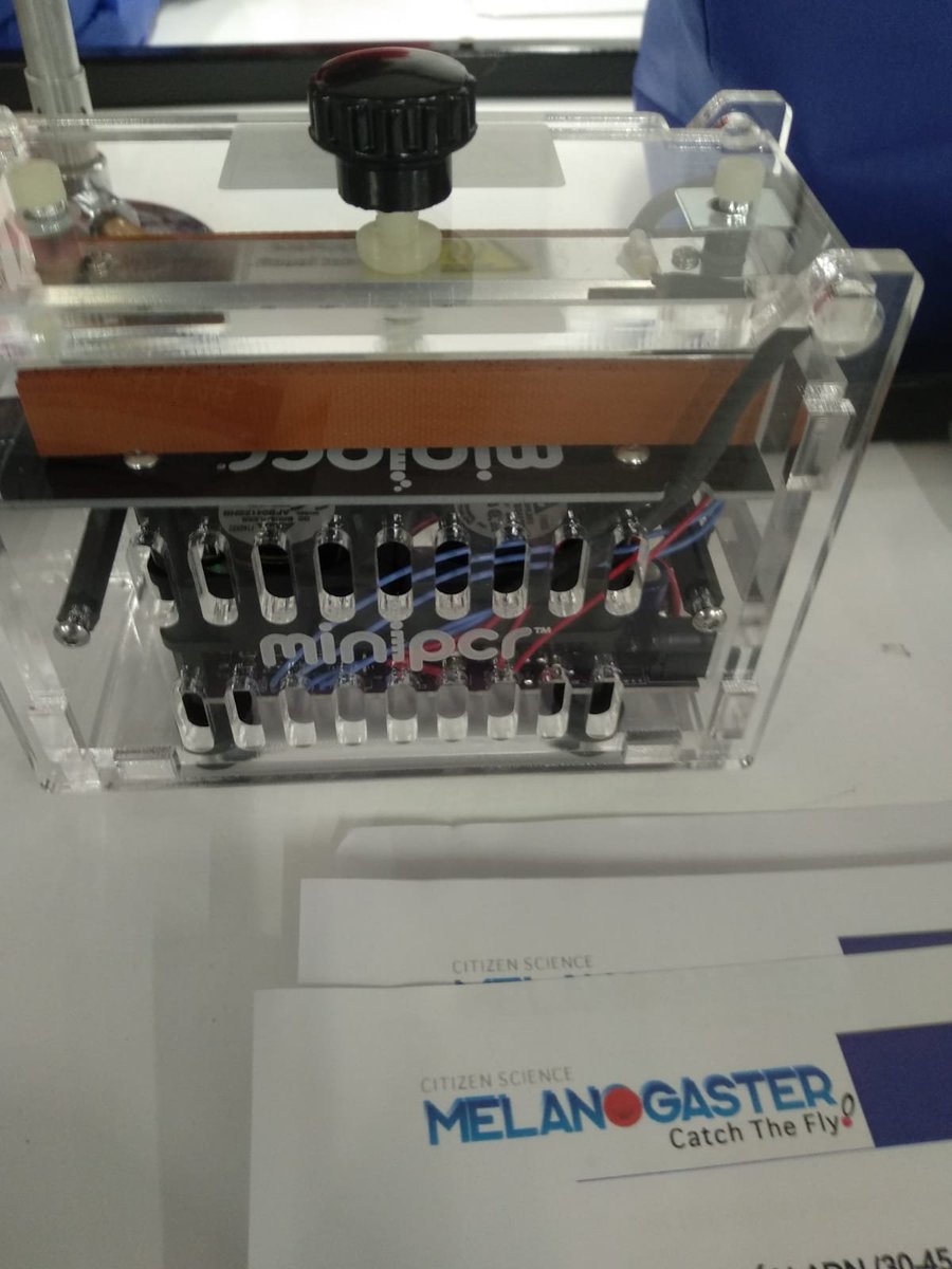 LCATMon's tweet photo. #TeachAndFly 2022 de #MelanogasterCTF #CienciaCiudadana lleva la técnica de #biología molecular con #CitizenFlyLab al @CESRamonyCajal de #Granada de la mano de la profesora @ArboledasCarmen y sus estudiantes validando #Transposons en #Drosophila

+ info: https://t.co/bvSW5j0bZt https://t.co/EYOIIfaMoX