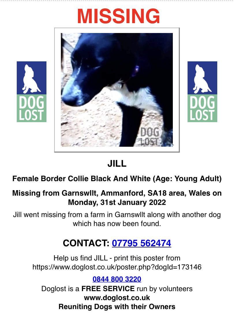 JILL missing #Garnswllt #Ammanford #SA18 WALES 🏴󠁧󠁢󠁷󠁬󠁳󠁿 31/1/22
Female/young adult black &amp; white #Bordercollie 
JILL WENT MISSING FROM FARM WITH ANOTHER DOG WHO HAS NOW BEEN FOUND 

doglost.co.uk/dog-blog.php?d…