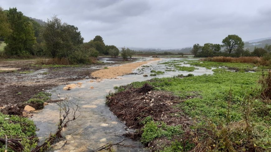#JMZH2022 Aujourd’hui, sur les ondes, l'émission @francebleuDA
 aide à mieux comprendre les #zoneshumides. À quoi servent-elles ? Comment fonctionne-t-elles ? Comment les restaurer ?  Vincent, chargé de projet au <a href="/CenRhoneAlpes/">Cen Rhône-Alpes     </a>
 vous explique tout !  bit.ly/35AbpSx