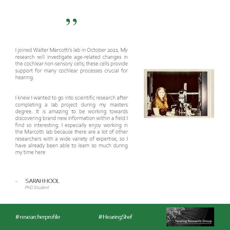 HearingShef's tweet photo. In #MeetHearingShef this week we have Sarah, a new PhD student in the Marcotti lab ππ
#researcherprofile
#HearingShef https://t.co/TIdmJ873gp