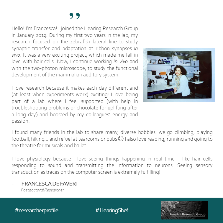 HearingShef's tweet photo. Next in #MeetHearingShef is Francesca! Francesca is a postdoc in the Marcotti lab π©βπ¬
#researcherprofile
#HearingShef https://t.co/pEmJ4g17I6