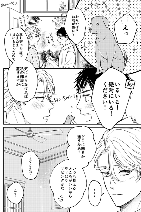 スリランカ暮らしエトラ💎
(流れ星ナイトのちょっと後くらい) 