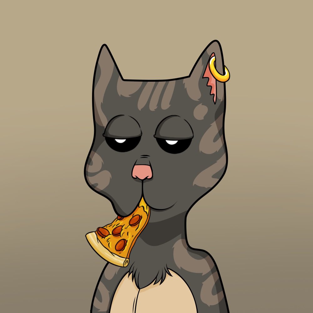 Such a huge community and I think I follow only 5% where my <a href="/BossCatRC/">Boss Cat Rocket Club</a> holders at? #bcrc #catfollowcat