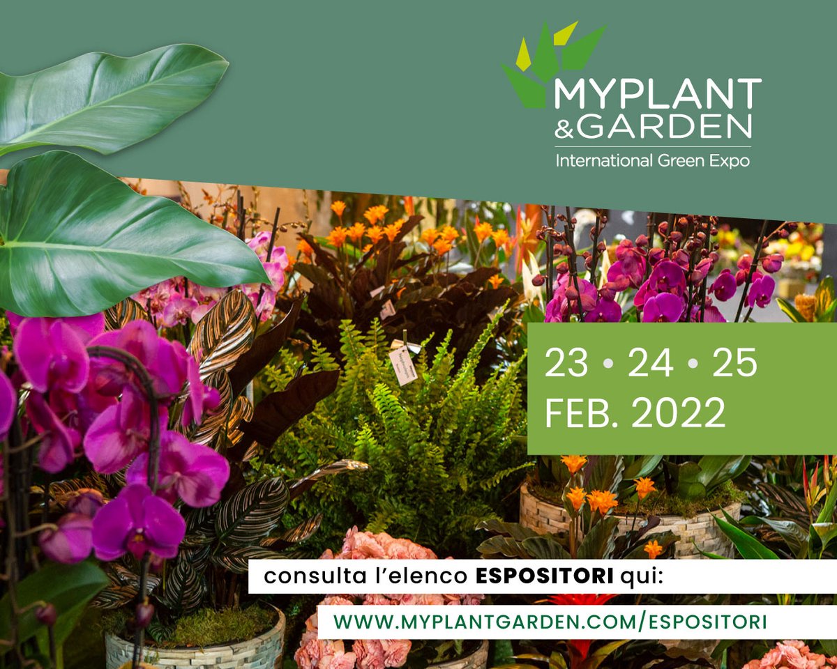 Over een paar weken staat Myplant &amp; Garden 2022 op de agenda en wij zullen deze editie weer met een mooi Holland Collectief aanwezig zijn. Benieuwd naar alle deelnemers? Kijk op myplantgarden.com/espositori/