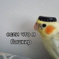 Станислав Дыда (@dydastas) on Twitter photo 