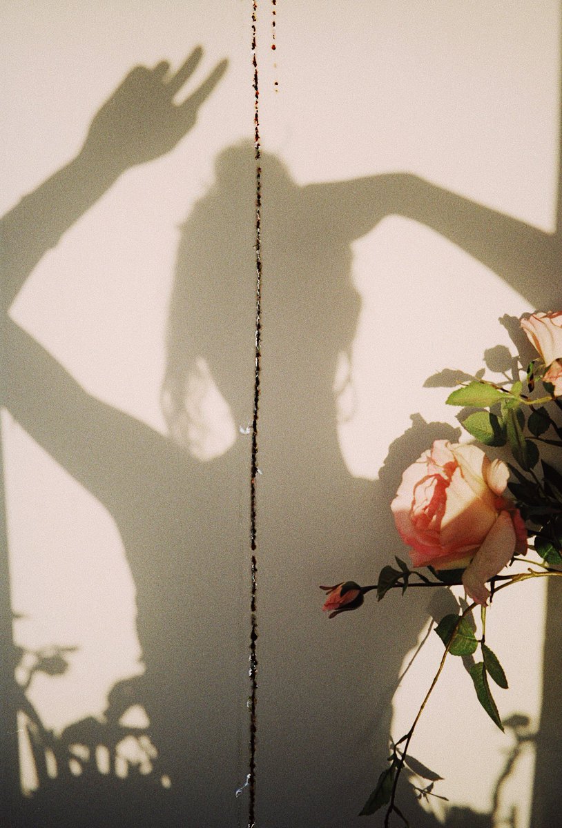 Gm #NFTCommmunity 💕 
Do you have a shadow portrait too? I would love to show them! 💫💛👇🏻 #35mm #NFTs #nftcollectors #opensea