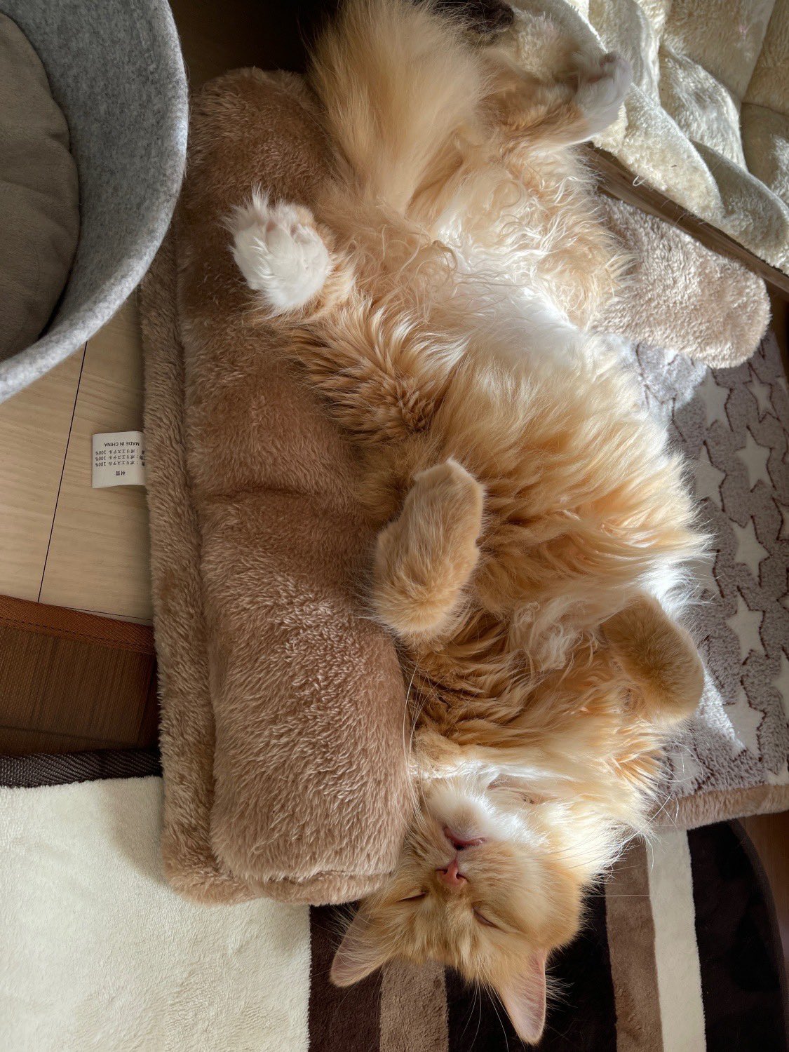 会社休んだ Twitter Search Twitter