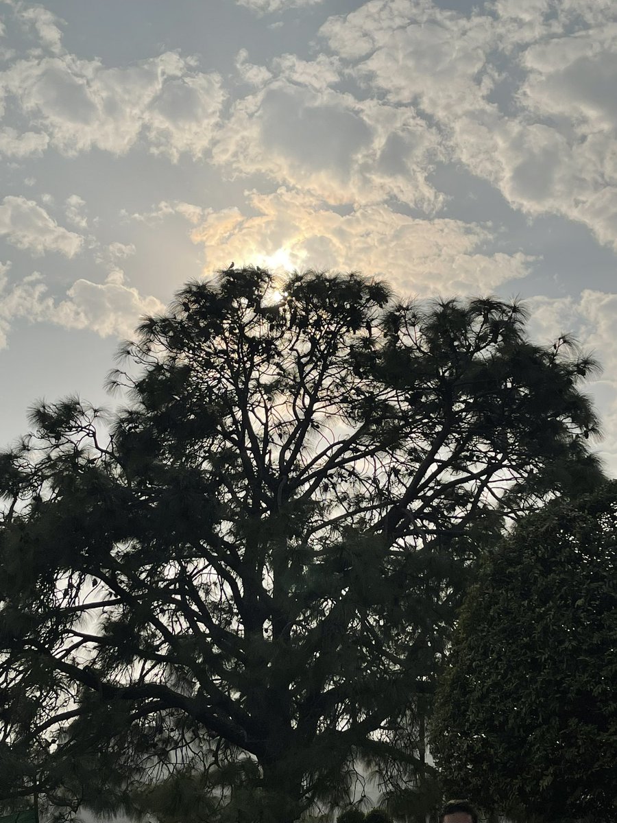NEETAS11's tweet photo. Sky …. Clouds #warmfebruary https://t.co/ZQtRE7GApB
