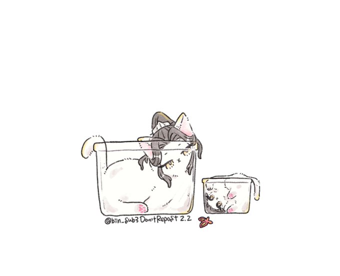 🐈月間。液体な🐈寧としゃす🐈。零れないように... 