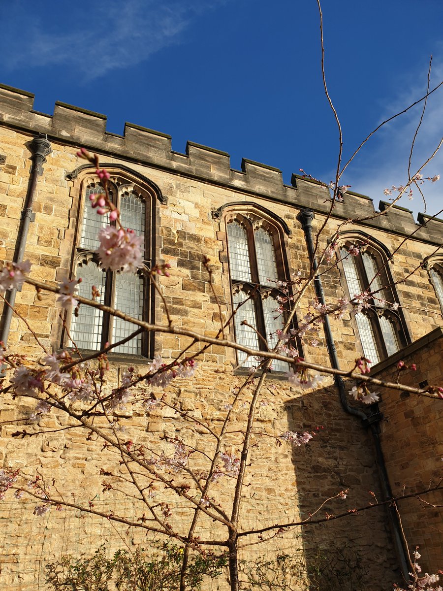 Today is #Candlemas, halfway between winter solstice &amp; spring equinox. Medieval #folklore says today’s weather predicts when winter will end:
‘If #CandlemasDay be fair &amp; bright, winter will have another fight. If Candlemas Day brings cloud &amp; rain, winter won't come again’.