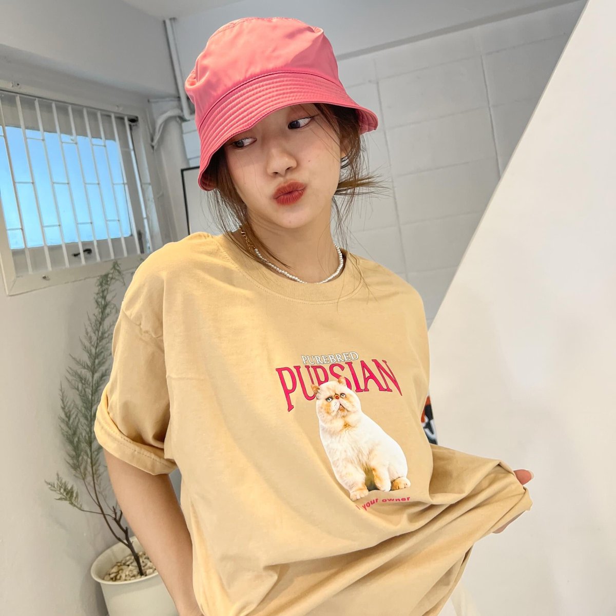 มีสินค้าพร้อมส่งมาอัพเดทนิดหน่อยค่ามีแบบละไม่กี่ตัวนะคะ 🤲🏼💙✨ เสื้อยืดผ้านุ่ม cotton 100% คับ 

กดสั่งซื้อได้ที่ 📍
shop.line.me/@7663selected