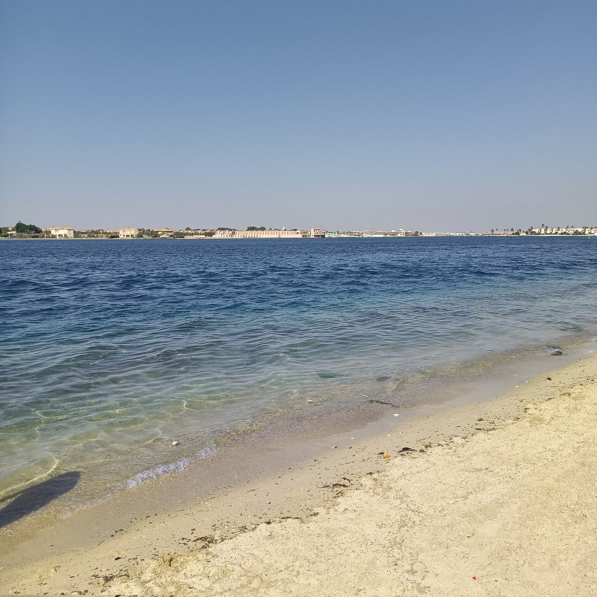 #صورة_ملف_شخصي_جديدة