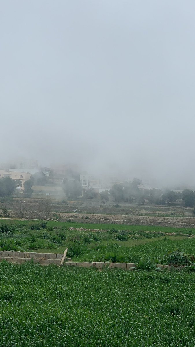 الجانب الجمالي من الشتاء