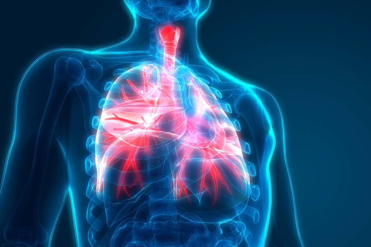 You are interested in working on respiratory infections? We are a host center for the RESPIRE4 Marie Sklodowska-Curie initiative.
Join us, apply now!
euraxess.ec.europa.eu/jobs/hosting/i… 
#postdocjobs #postdocposition #microbiology #Immunology