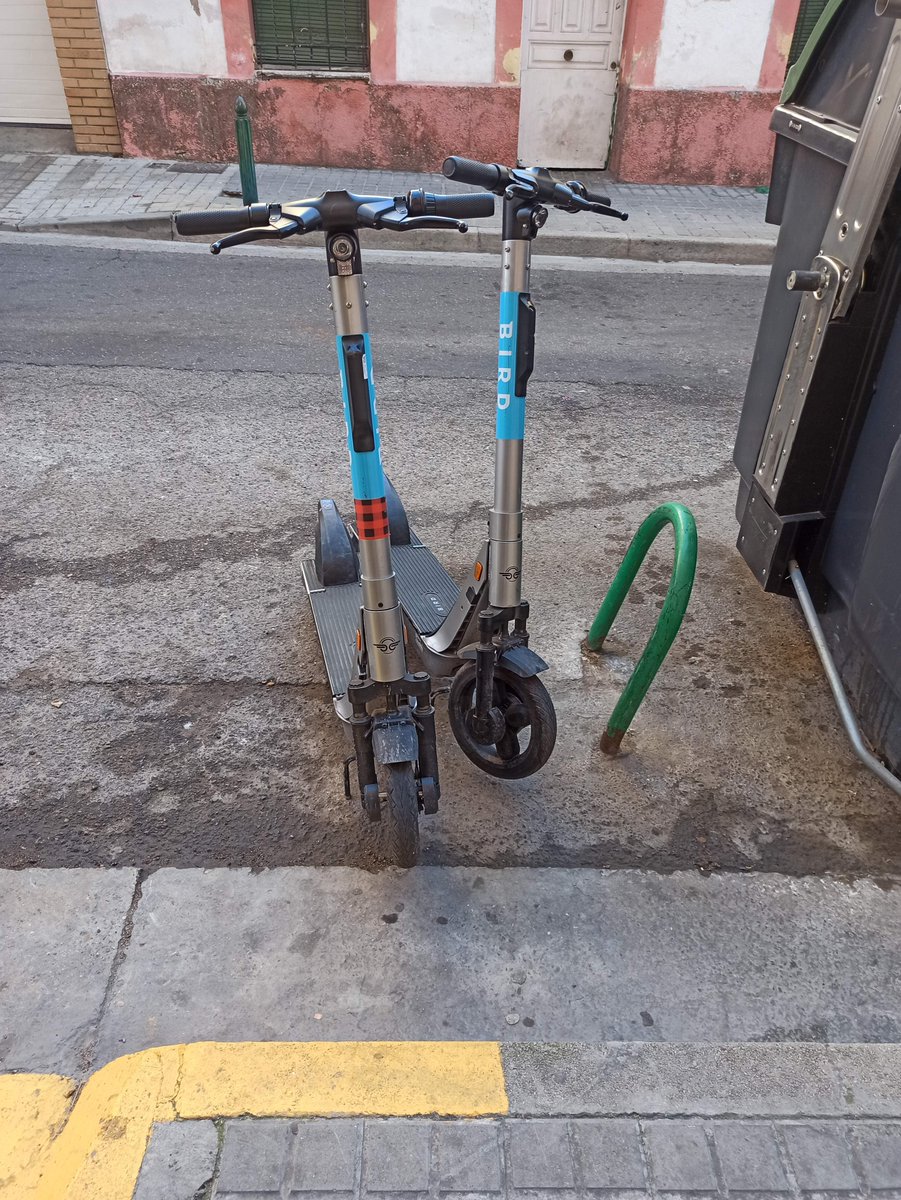 javissb's tweet photo. @BirdRide https://t.co/6OBPhedUJz