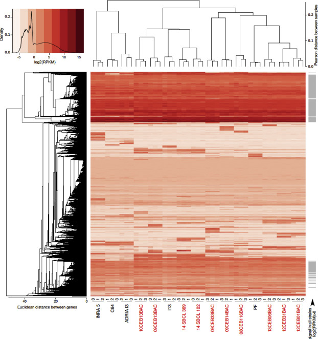 INRAE_MaIAGE's tweet photo. Glad to share this new paper from our lab: "New genetic biomarkers to differentiate non-pathogenic from clinically relevant Bacillus cereus strains". Out in Clinical Microbiology And Infection.
DOI: https://t.co/ixk8GTV6fu 
@DarkCyp https://t.co/gK9t6DJSB7