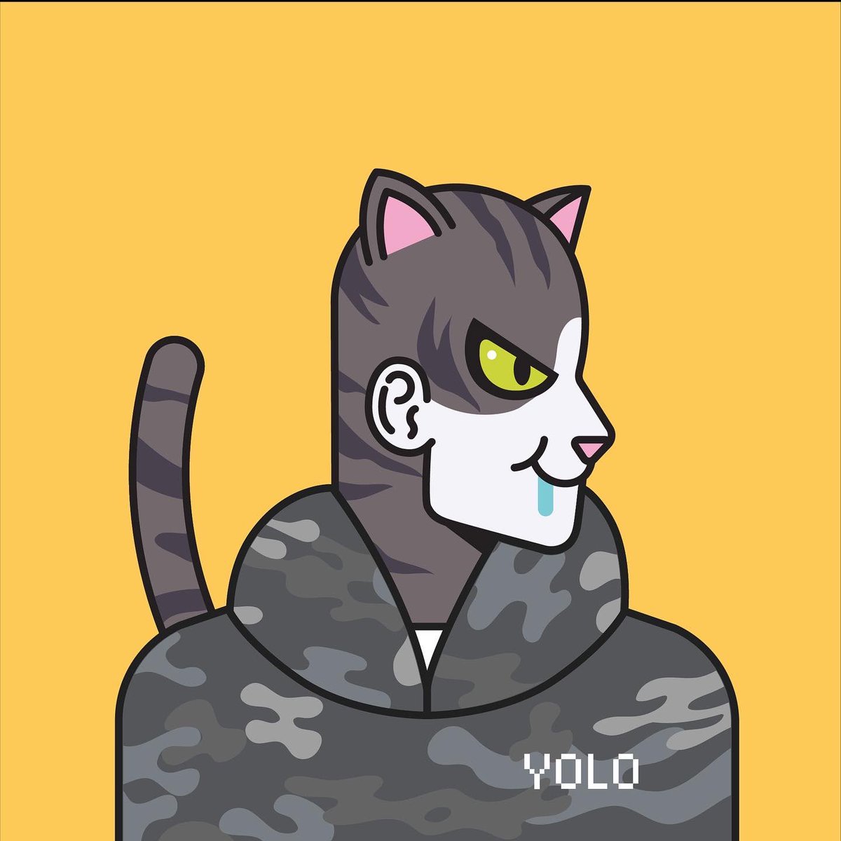 gccnft's tweet photo. You Only Live Once with @diegodtk ! Excited to collab with the founder of Yolo Cat Club to create GCC #1573, part of our YOLO cat unique collection. Welcome to the fam. https://t.co/SDVpWkvBmu