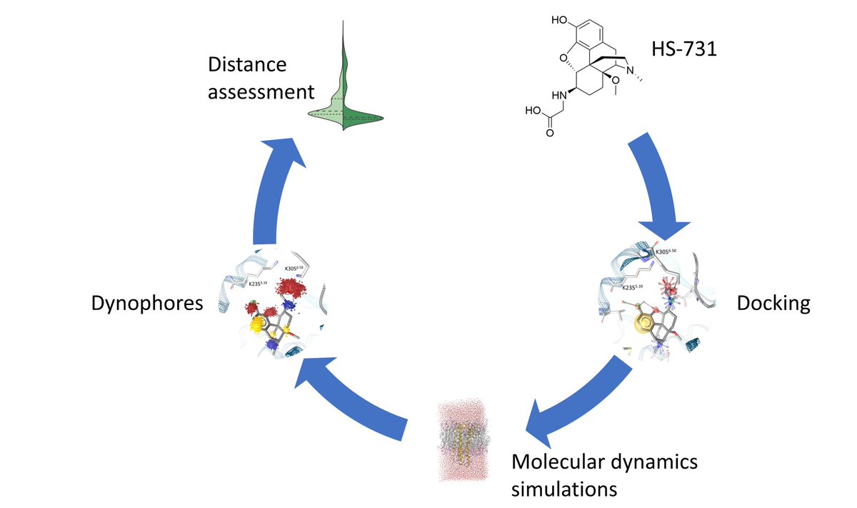 Our paper about the mechanistic characterization of the pharmacological profile of HS-731, a peripherally acting opioid analgesic, at the µ-, δ-, κ-opioid and nociceptin receptors is now published.
You can find the free access paper at mdpi.com/1420-3049/27/3…

Thank you all!