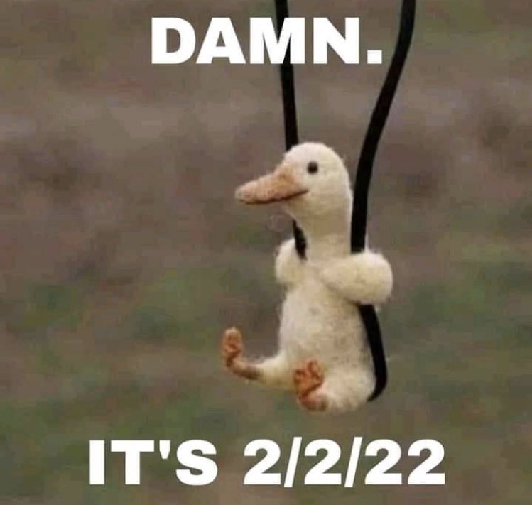 _MickyNawito tweet picture
